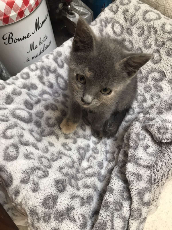 B473852E-36A0-4A59-8941-C5F7330C19CB