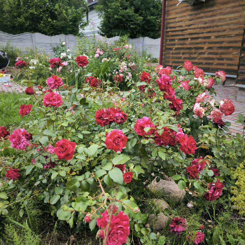 IMG_20240704_180136