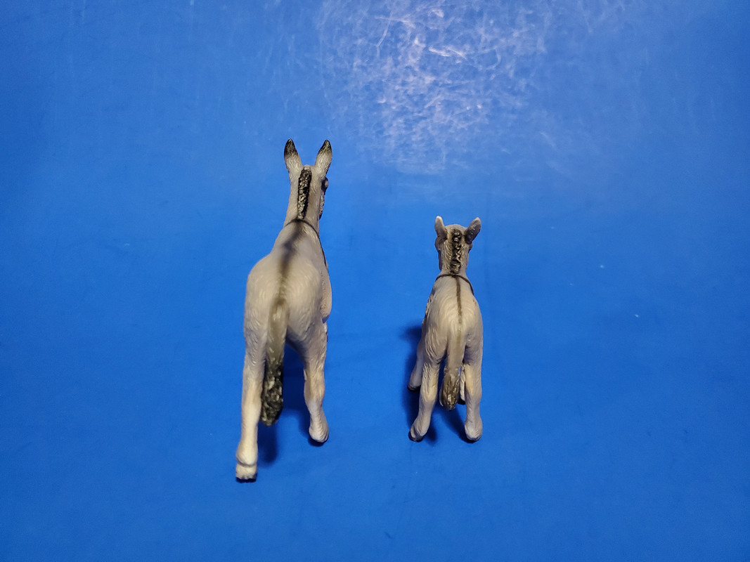 Mojo Fun 2020 Donkey Jenny and Foal walkaround 20200701-134011