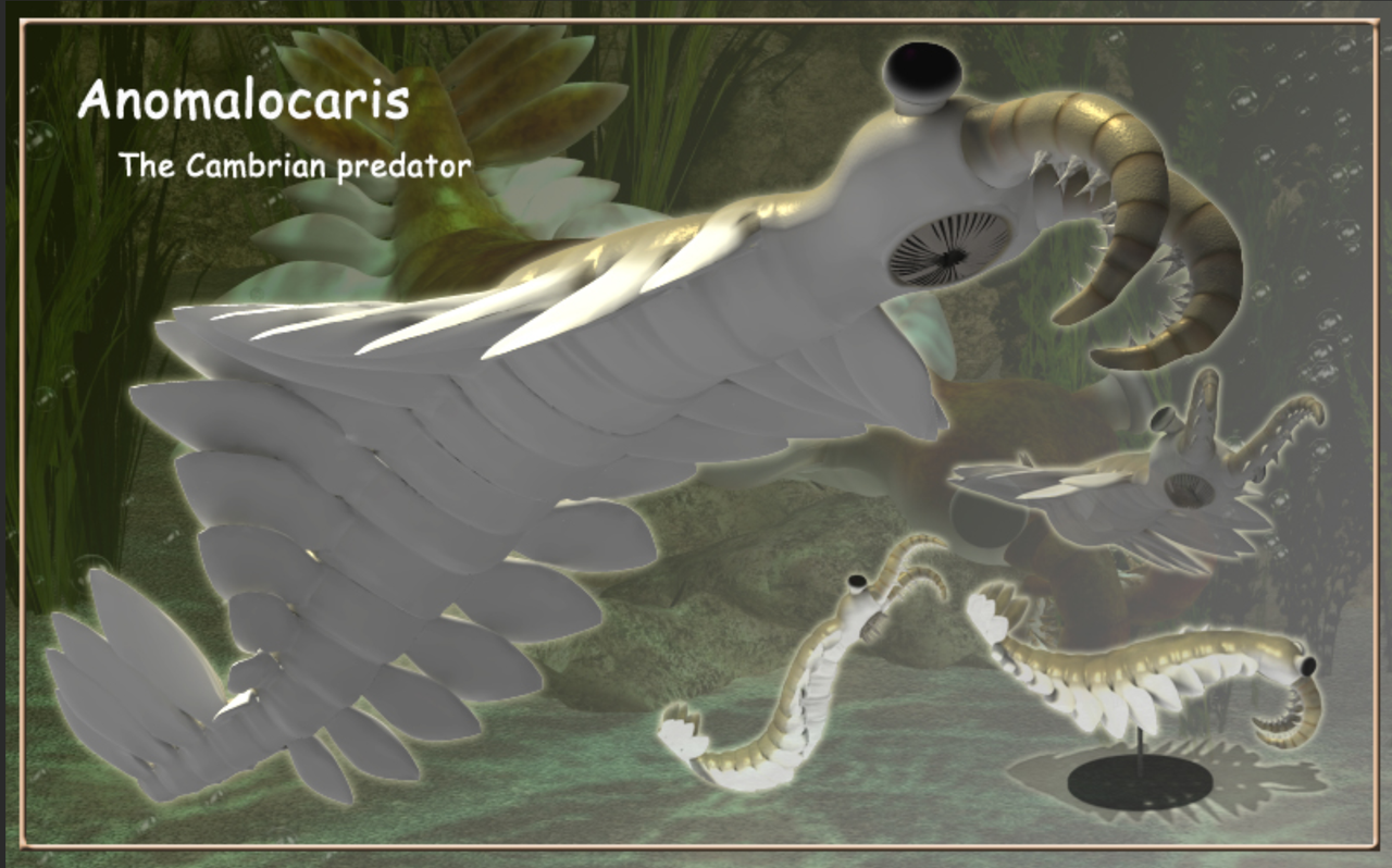 anomalocaris