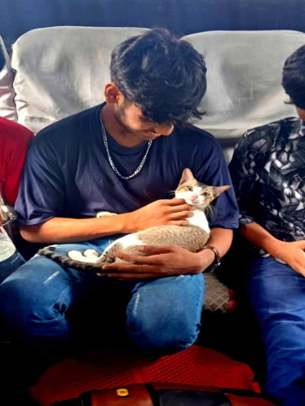 বিড়াল ও মানুষের বন্ধুত্ব