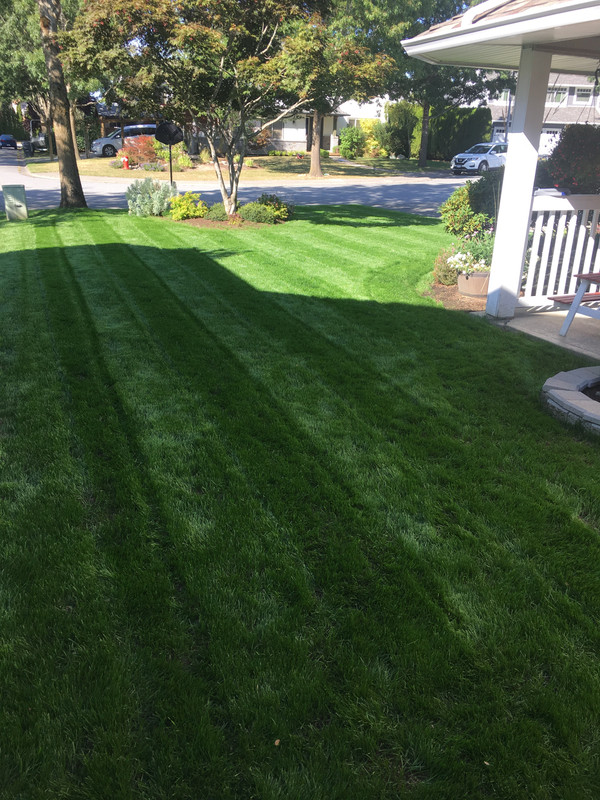 AE0CD926-FBE3-449C-AFE0-08FEA40CA7D5