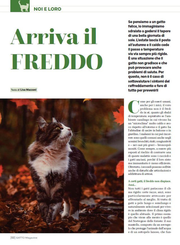 Ga Ma Ott-Nov 2023 (9)