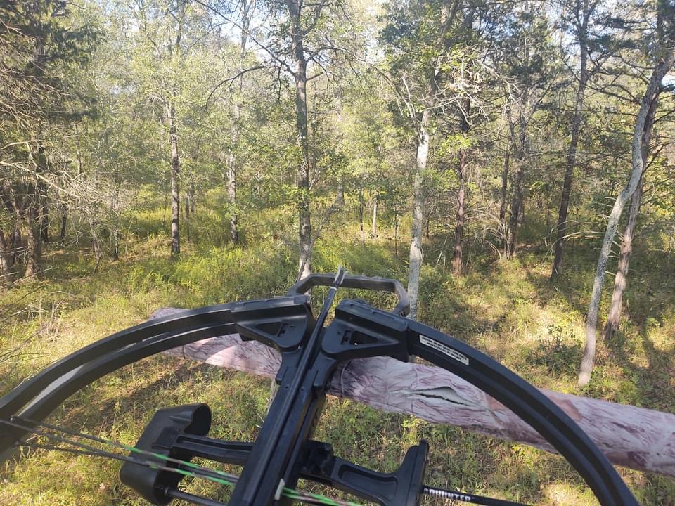 28A44305-9DB1-4BDC-8D2F-E551E4DF05FF