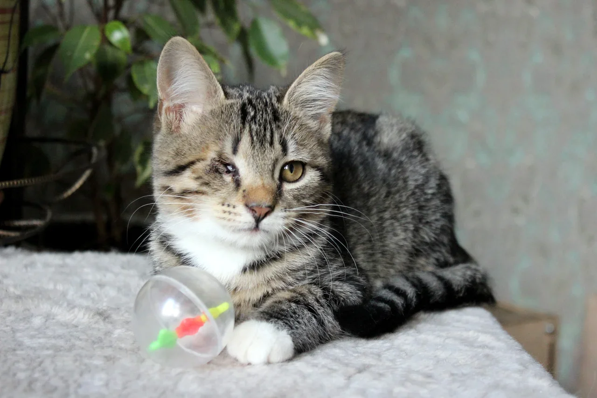 0C03093B-67DE-411D-93AB-DA002D875C04