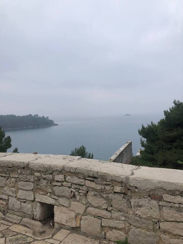 photo_2025-01-31_18-00-11 (2)