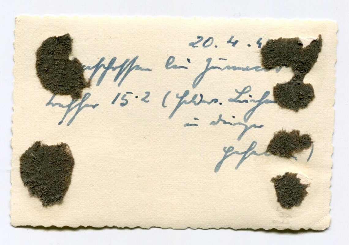 D761 Foto Russland WH Panzer VI Tiger schwere Panzerabteilung 506 Battle 1944 (2)