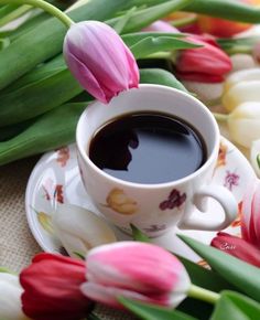 a288e0be64bdc6b73ca35f3abb7a63e9