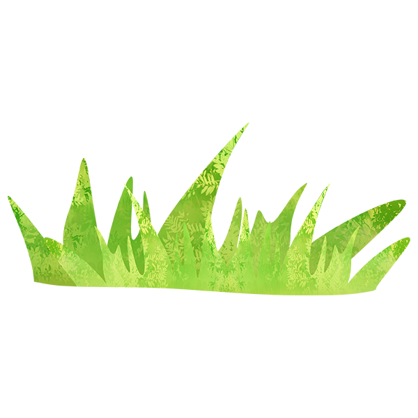 KBK_ForestSchool (139)