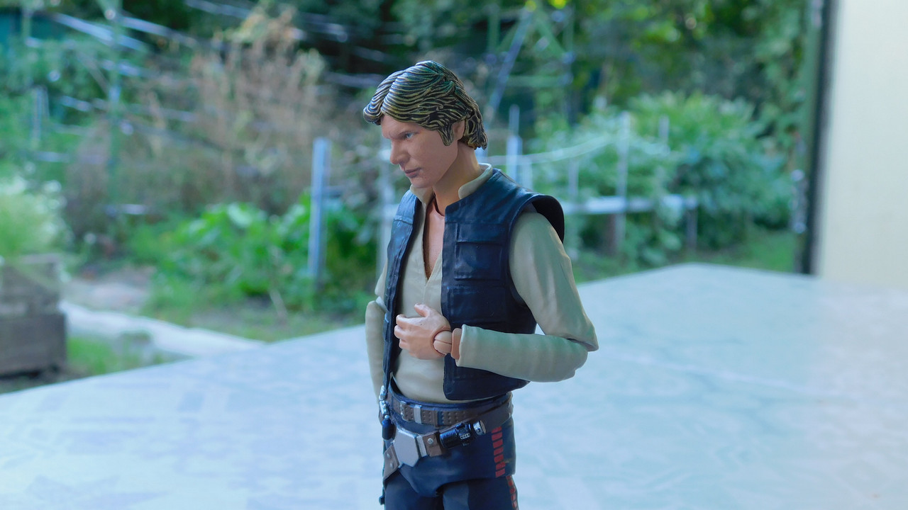 Дачно-барбейское июль, Харлинское 2-я серия 213