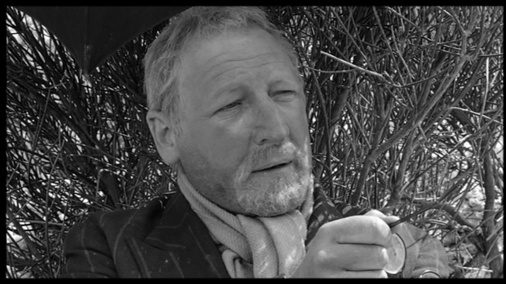 vlcsnap-2019-04-21-15h35m47s460