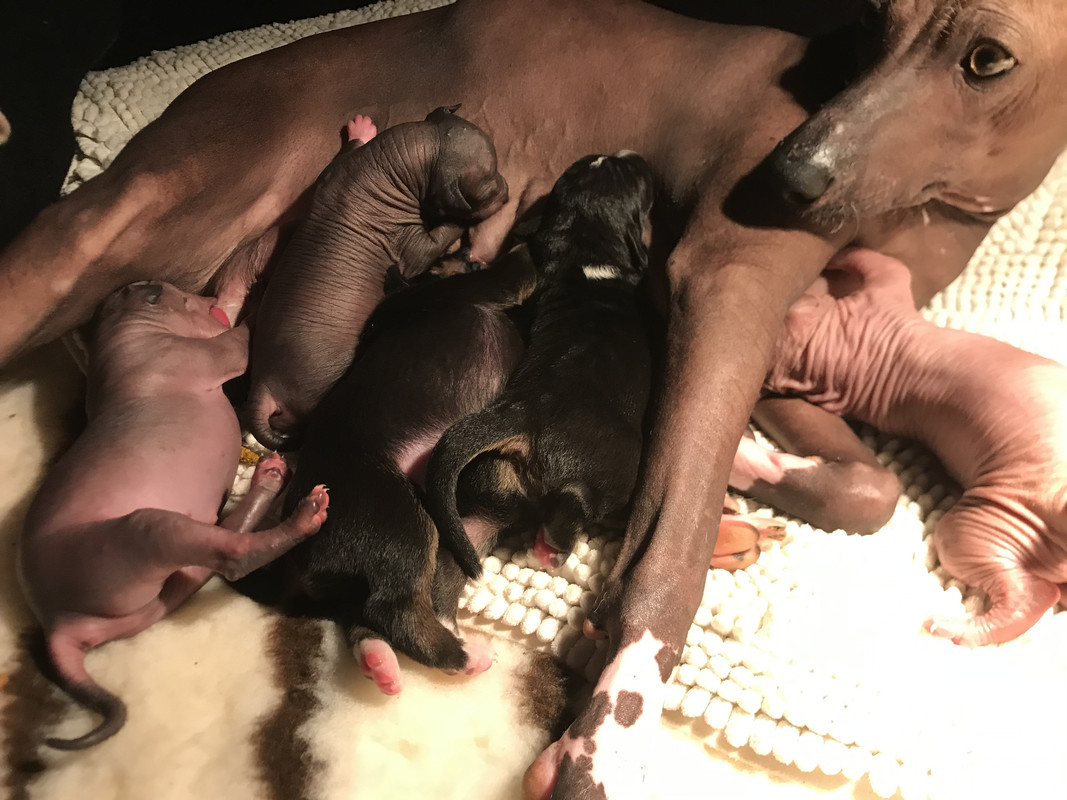 B68EFA91-CEFD-47BA-8659-DEB86DE36DE3