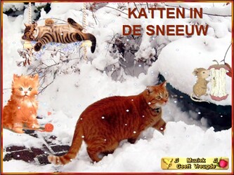 Klik op de afbeelding om de link te volgen