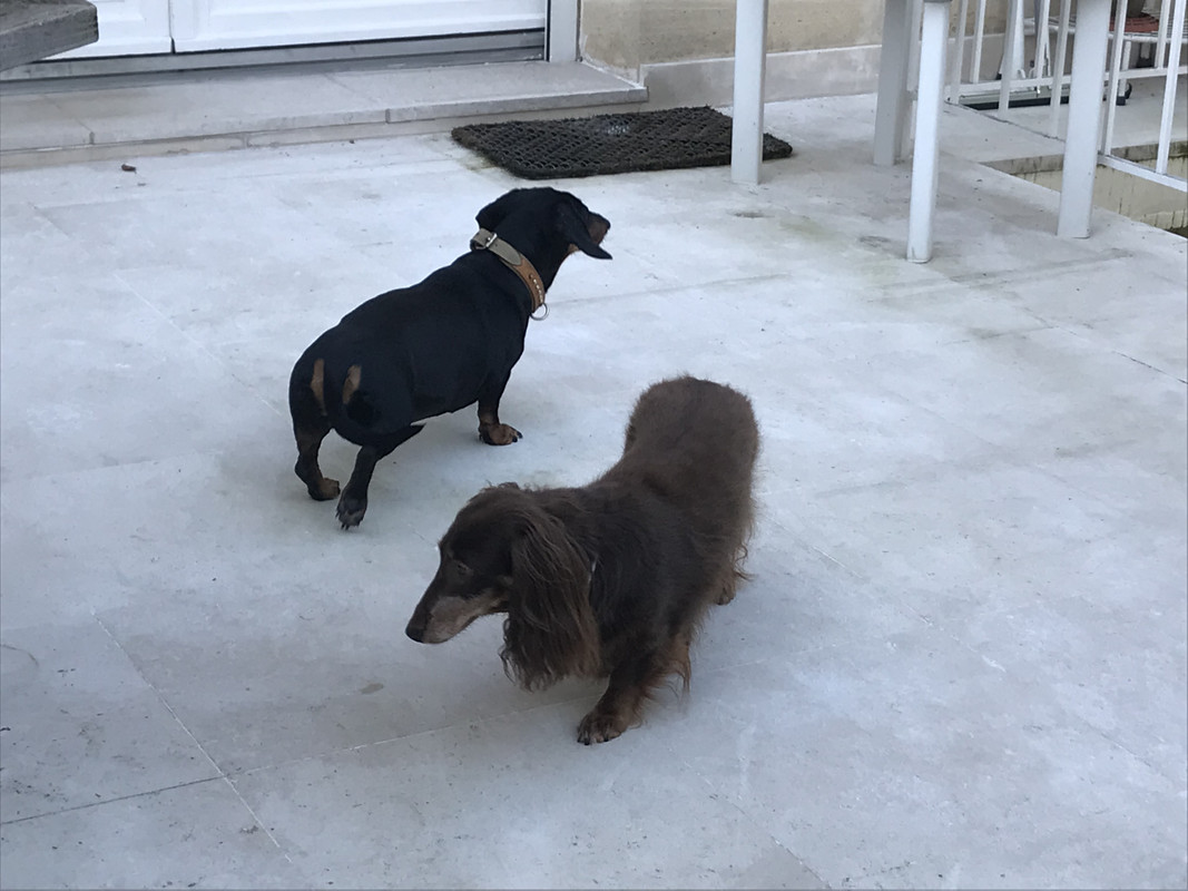 [Image: 919788-EB-EACD-4269-B62-A-49-F67576-FB12.jpg]