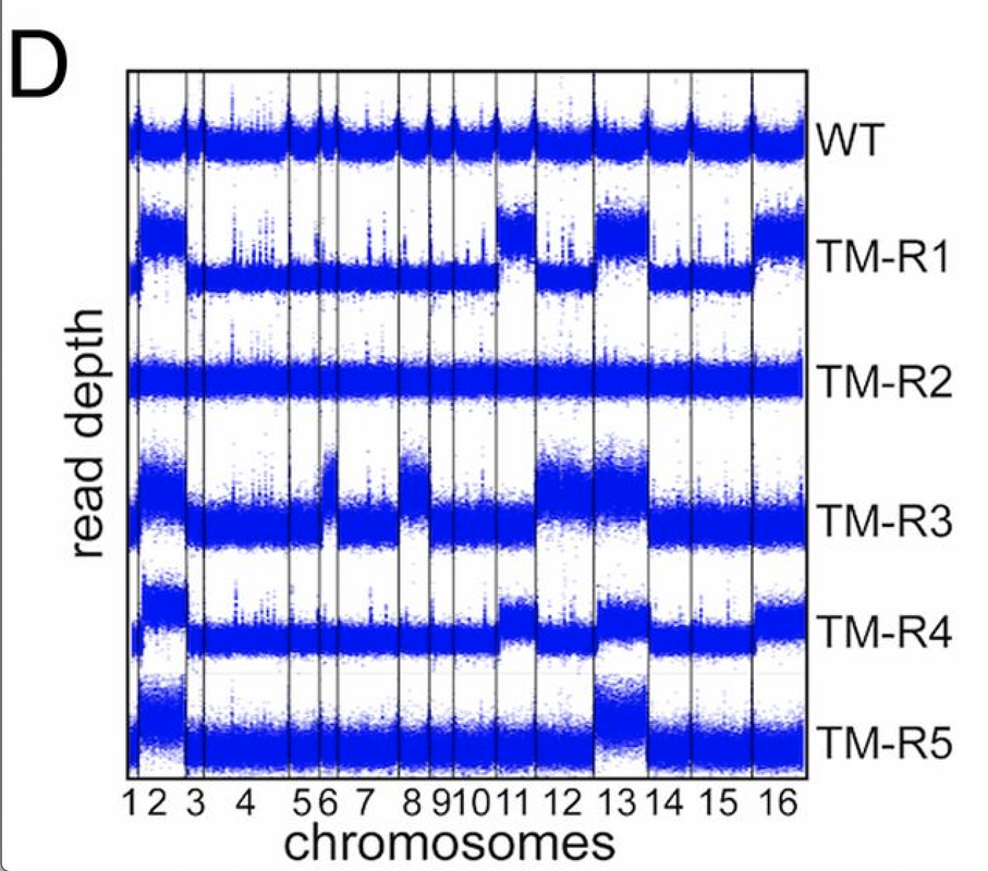 coverage Plot