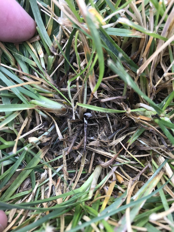 F7F061EB-73A3-40CE-8773-586A09334A4A