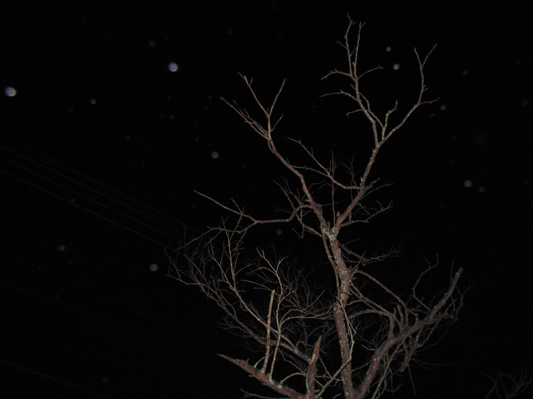 61.2.ghosts of autumn II (edit)