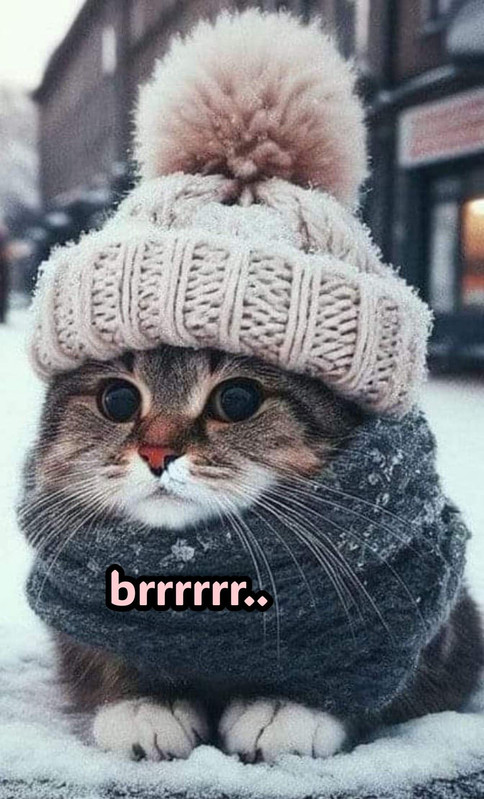 bbccde2147472730222d8e8fd0273e13