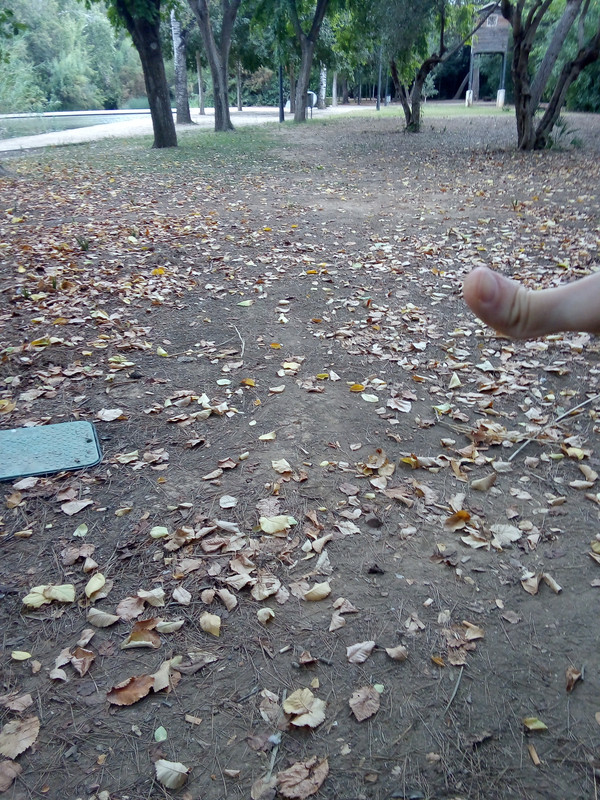Persona sentada sola en un banco de un parque en un día gris, imagen del aislamiento social y el retiro prolongado