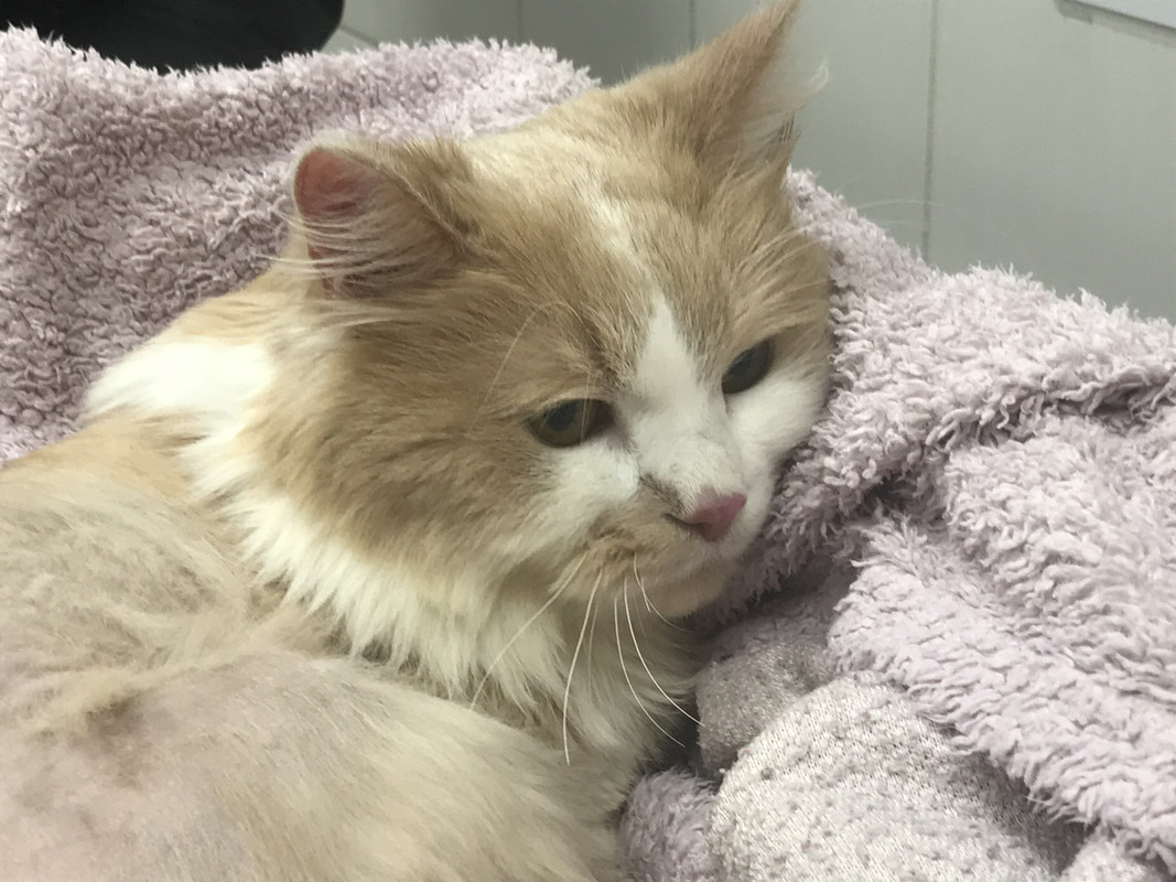 949C7E2E-FBBC-4FF0-9632-4E46624C20E2