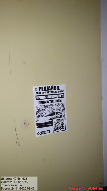 photo 3 2025 11 25 00 26 17