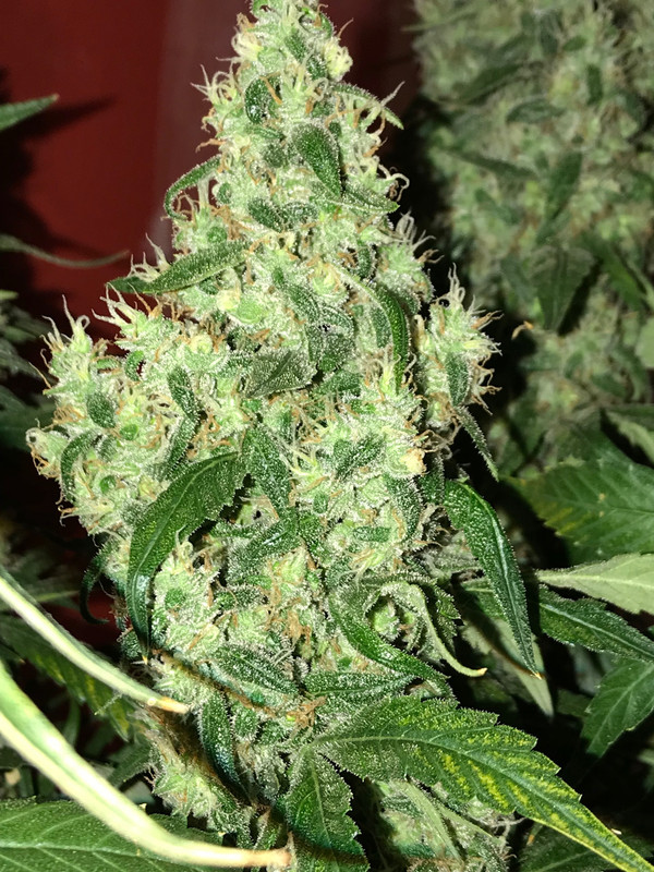 F6DE6013-DA23-4019-BADC-9C5566E7CAA5