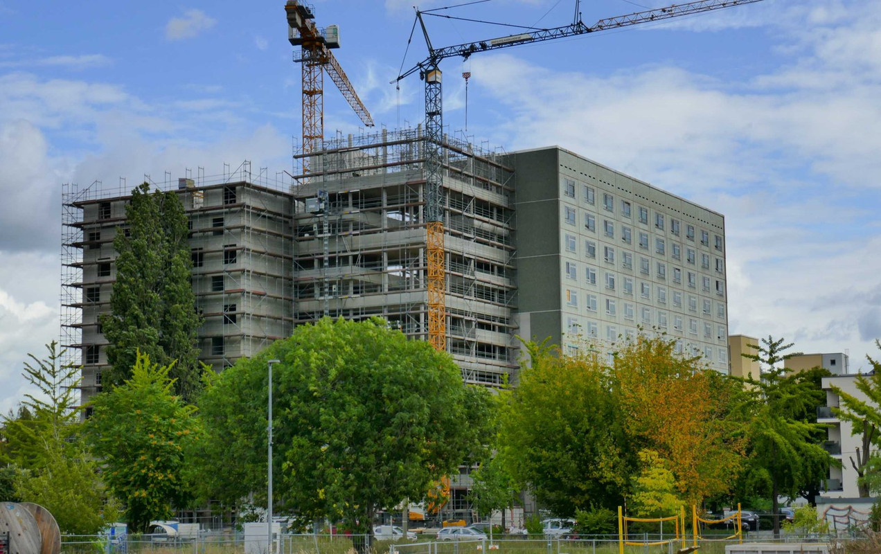 Bild: https://i.postimg.cc/Gh3zWxBh/P1300729.jpg