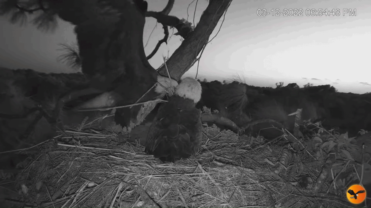 Webp.net-gifmaker (1)