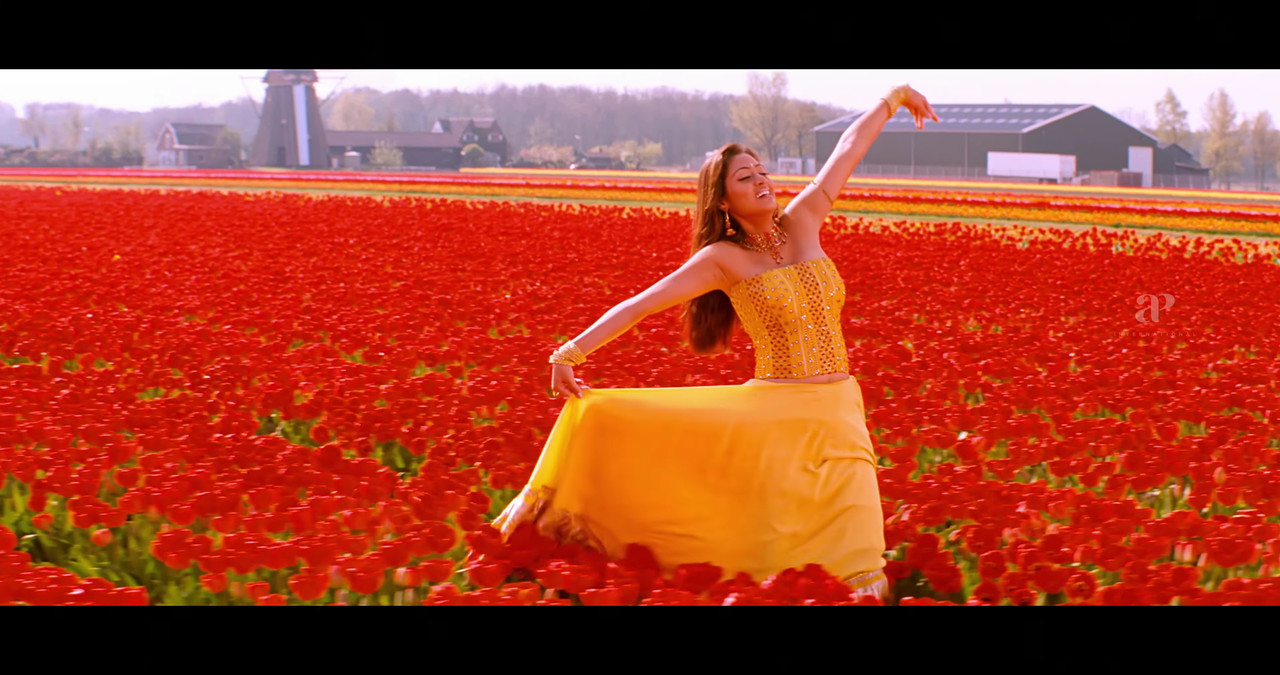 VideoCapture_20241122-200404