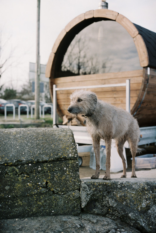 F65F2950-E88D-4F82-85FA-F4FB7A59C322