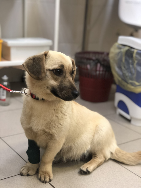 1CB043E9-BB77-43DC-A8B3-7FF57C33B116