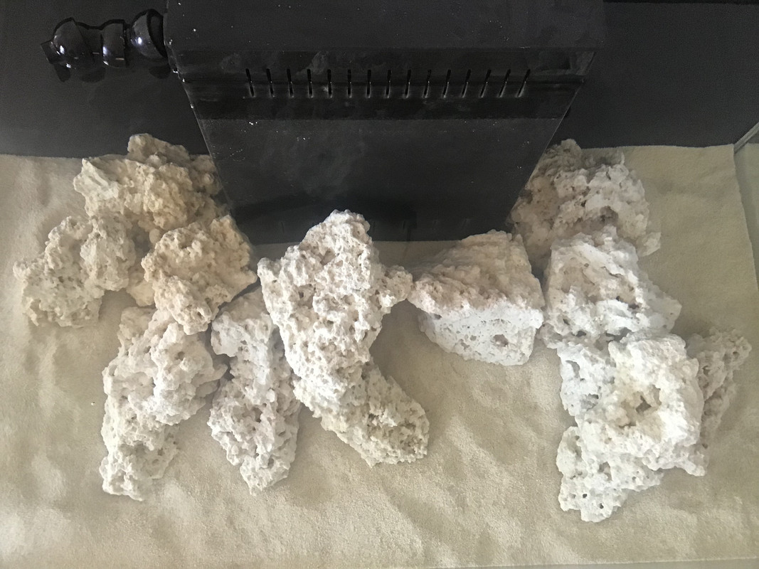 0130BEF3-C051-4966-B3B6-D9D98221E326