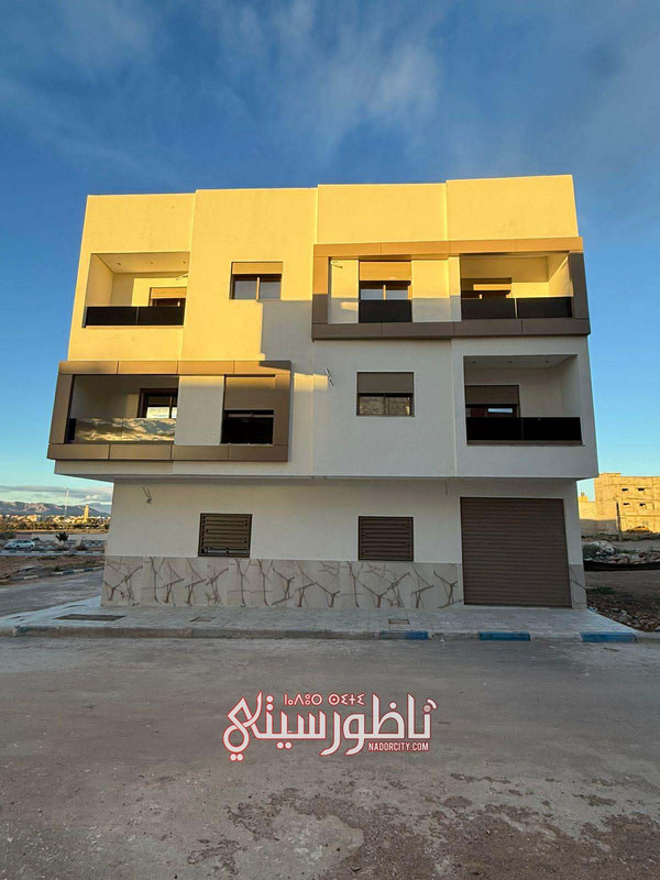 613385593-1502356564202755-5751305620444308425-n