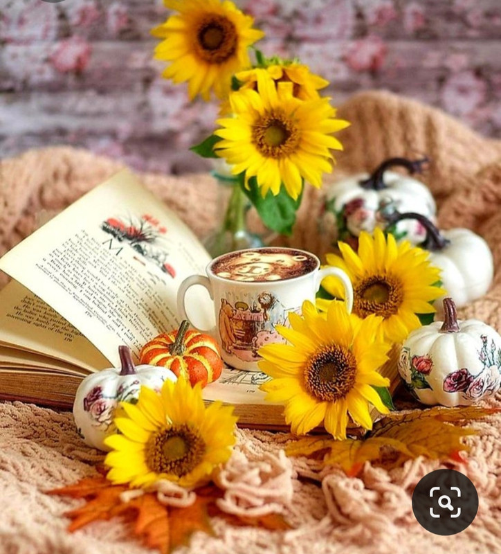 Screenshot_20230420_235159_Pinterest