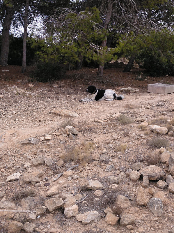 FA7E7CAD-6962-4297-B058-C465806E5696