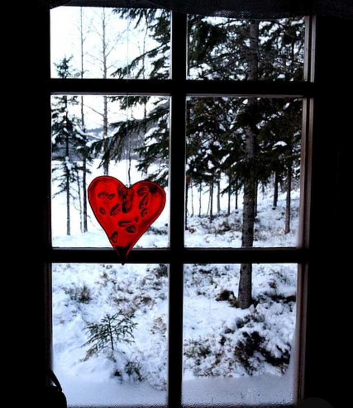 Screenshot_20240214_111529_Pinterest