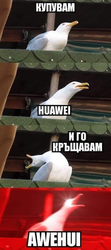 145956348_4152009234809704_8025128604904012784_o