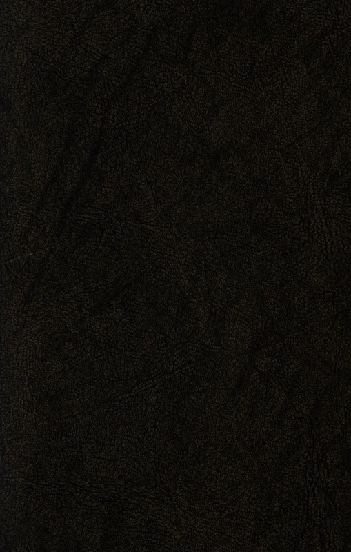 Letopis'-literaturnyh-sobytij-v-Rossii-Vypusk-2-(Cast'-1)-page-0024