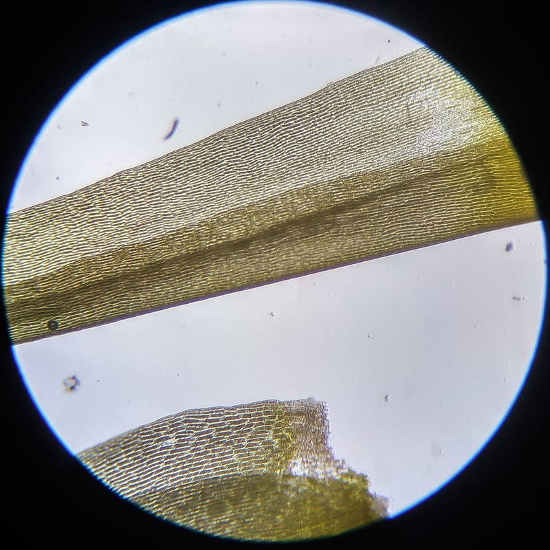 IMG 20250614 111214 HDR