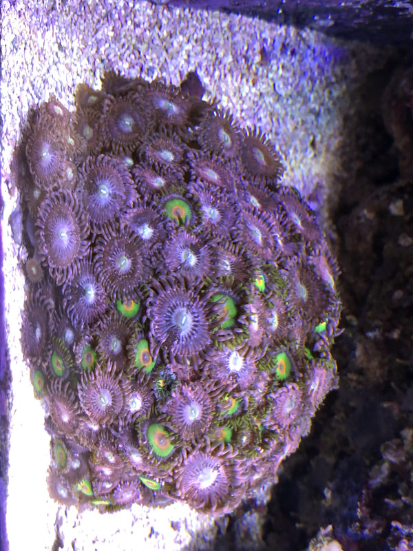 432711AD-42A3-4F62-9423-B9884A7C8FA0