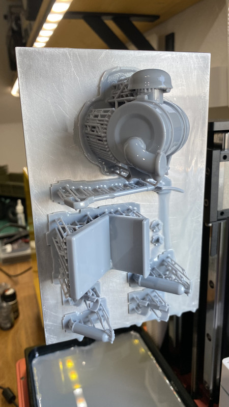 4744A338-F643-4EFF-A759-E98A82D2AE49_1_201_a