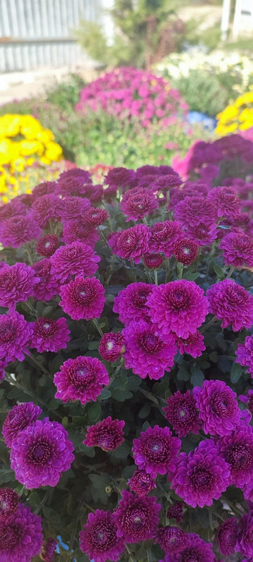 7OzuO5ihR6fKXCHbF8K7TLLg2QhErANNMNzAJ39Bt46Qd424ULnqEUFnZpZNmP-6kRgzOaBAlUkYuEC2ufxd41yD