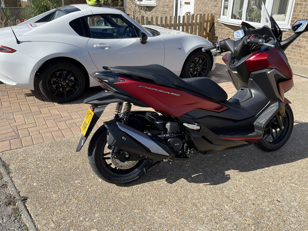 4894D53B-43CA-479B-981C-5E0ABA0C4E76