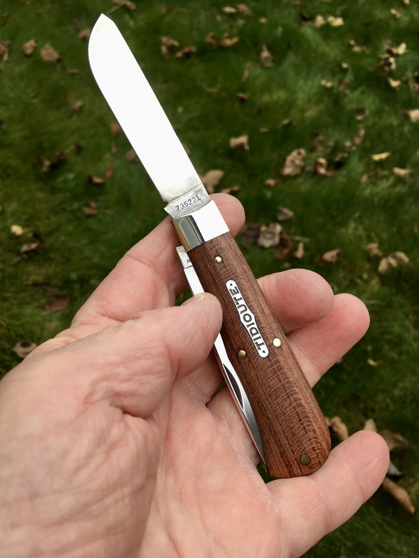 4AD54E40-3294-42DD-9999-1B5DC1E4B37B