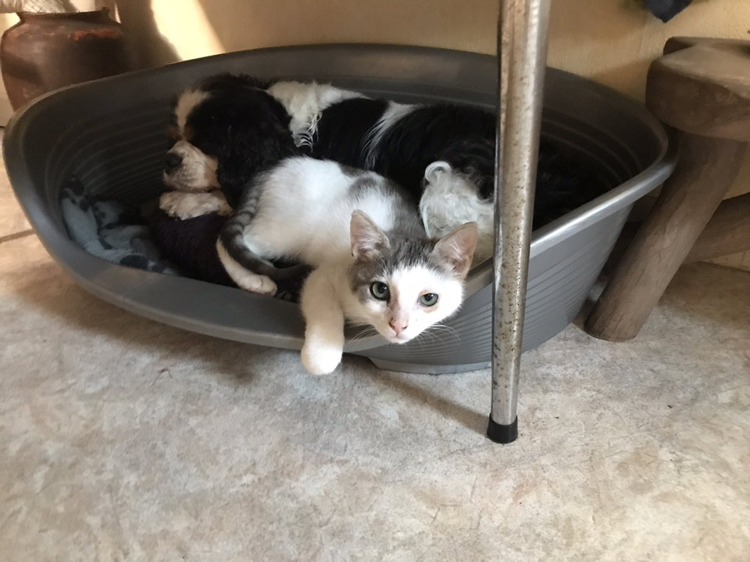 7BC9128C-E9B0-4DAF-AD28-241F1A4338BA