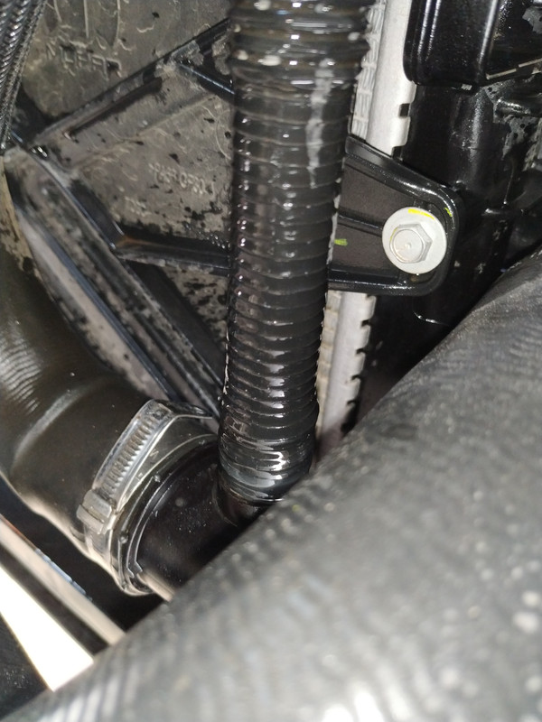 1685611816519315417596726446566