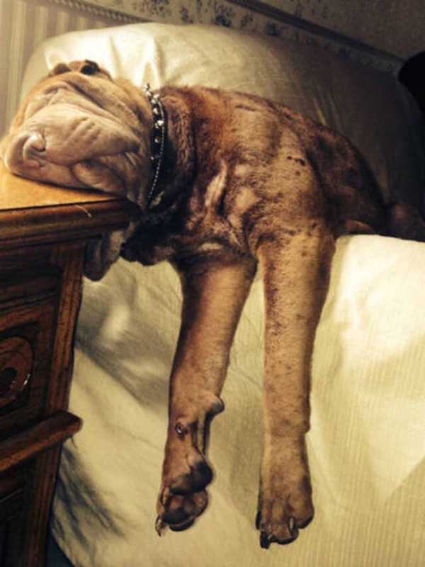 picdump-kw24-2025-019.jpg