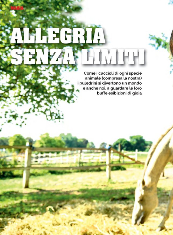 Il Mio Cav (Giu 2022) 1