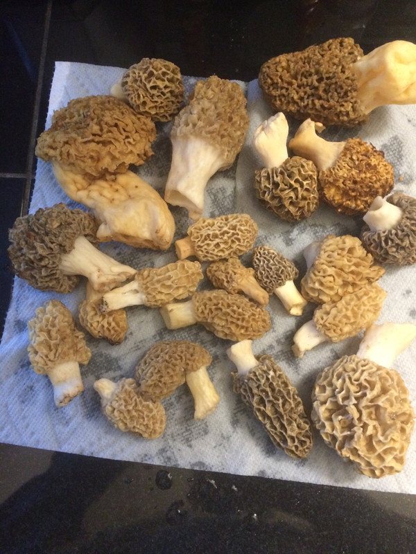 689304F1-F520-48B6-93F8-0766DC8EB1F7