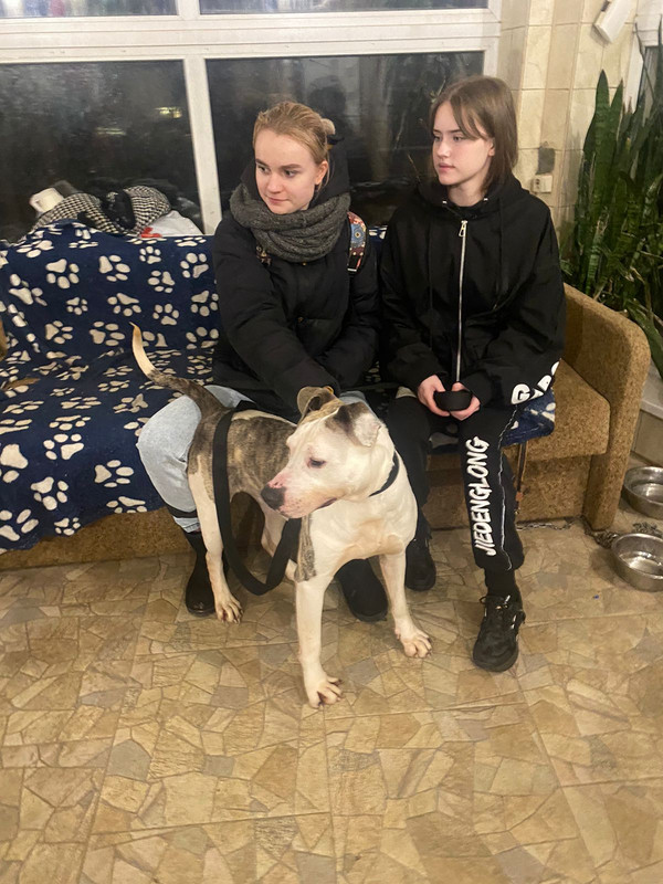 3434C795-9365-4FF6-A807-B9D4A77ABB49